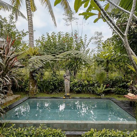 Moringa Ubud Villa Εξωτερικό φωτογραφία