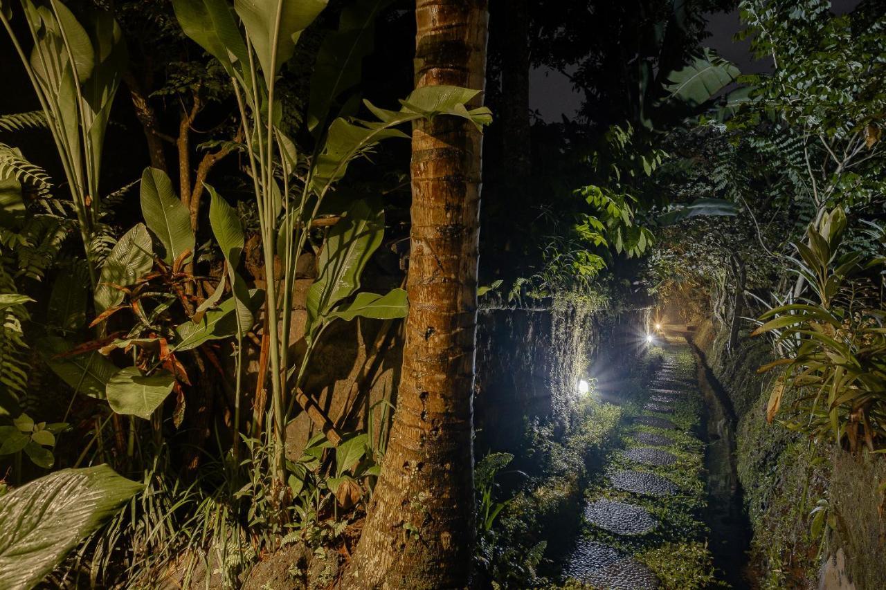 Moringa Ubud Villa Εξωτερικό φωτογραφία