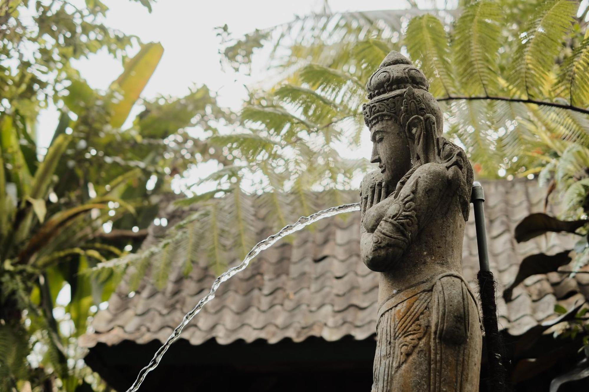 Moringa Ubud Villa Εξωτερικό φωτογραφία