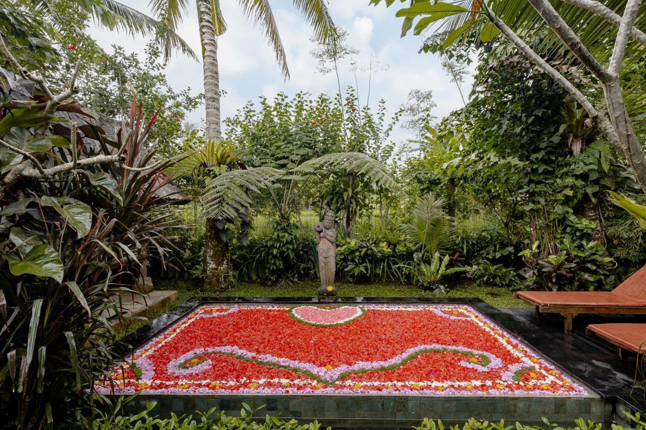 Moringa Ubud Villa Εξωτερικό φωτογραφία