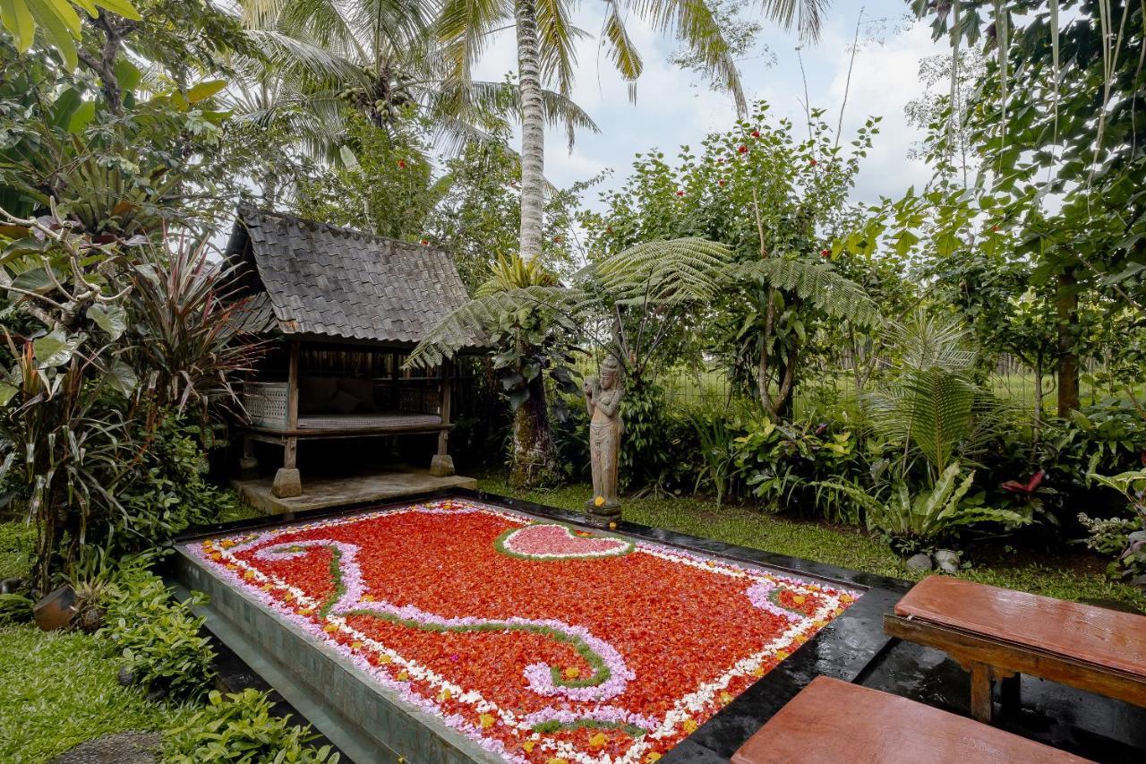 Moringa Ubud Villa Εξωτερικό φωτογραφία